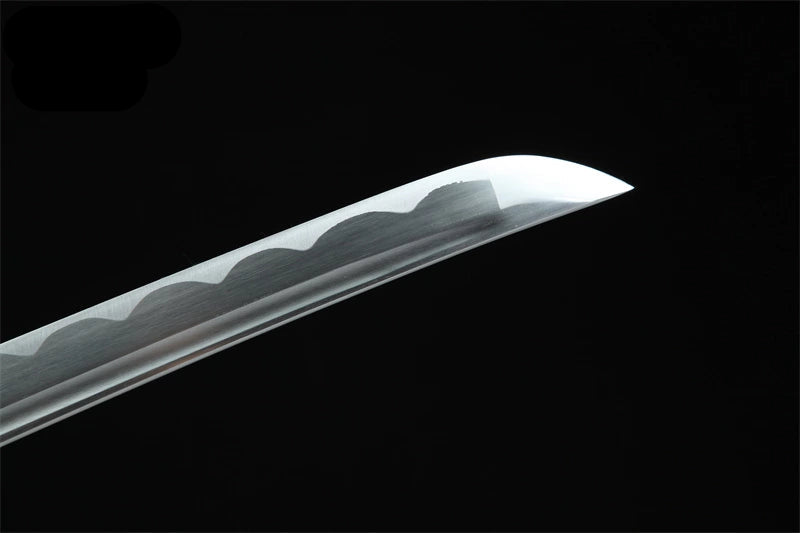 Katana Shusui